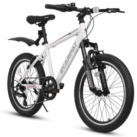 A20215F 20 inch kids bike shock absorber front plug 7 speed lever transmission + fender Universal for boys and girls