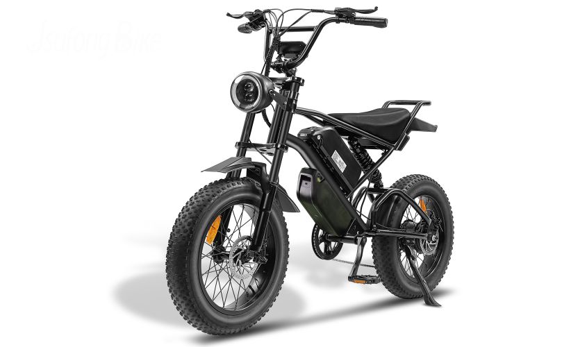 Ebike,1000W Motor,48V30Ah Battery,20 Inches,Maximum Speed 40-50KM Ebike,1000W Motor,48V30Ah Battery,20 Inches,Maximum Speed 40-50KM